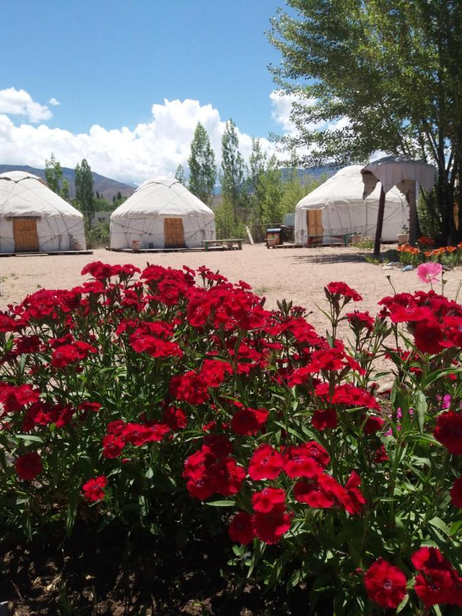 Отель Yurt Camp Tosor Тосор Экстерьер фото