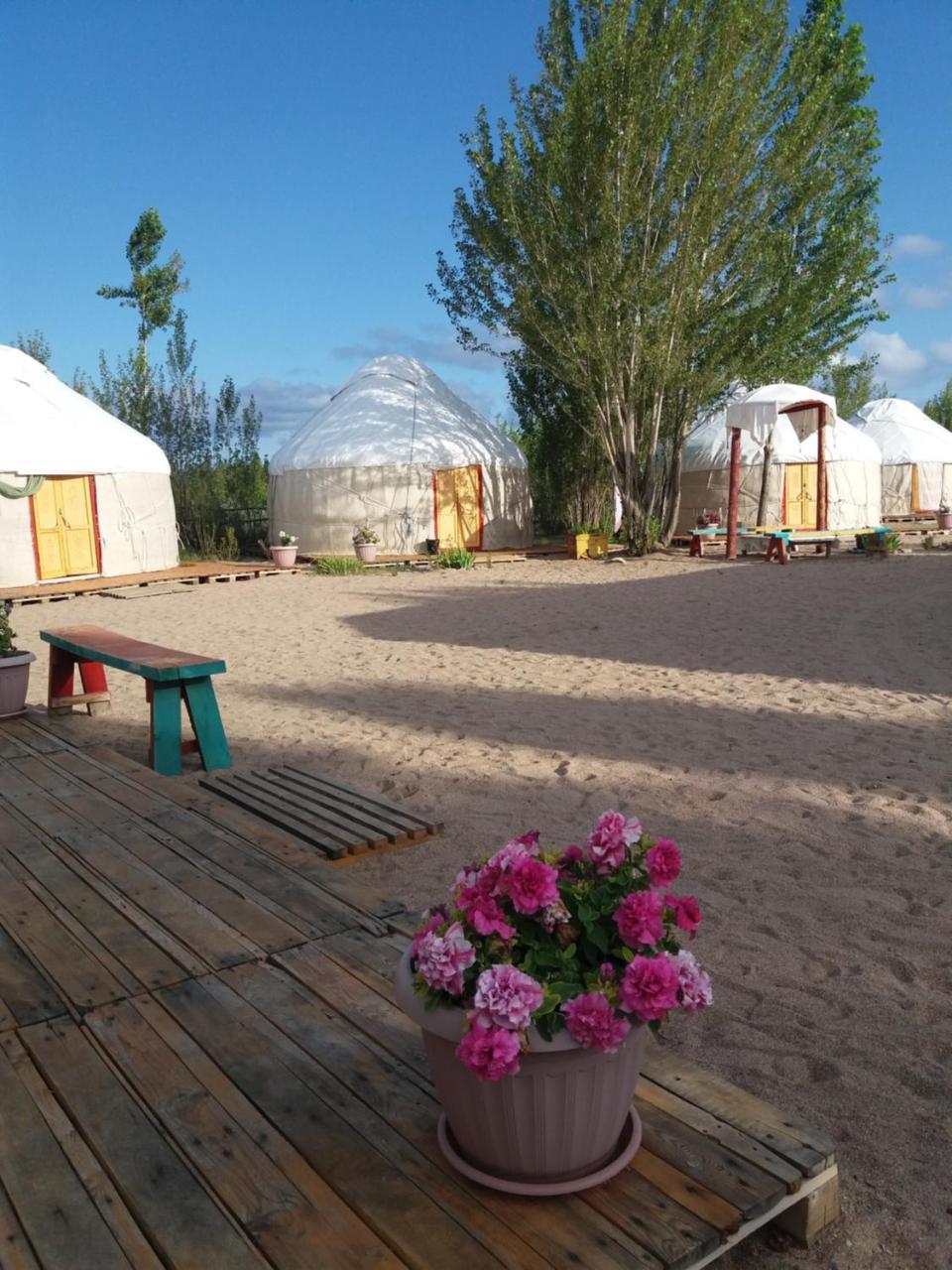 Отель Yurt Camp Tosor Тосор Экстерьер фото