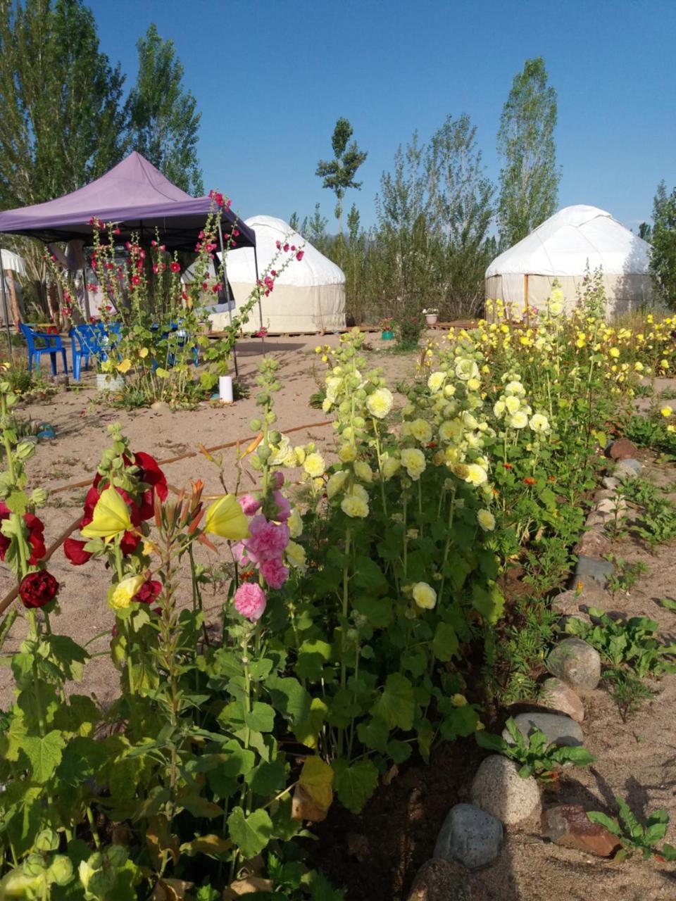 Отель Yurt Camp Tosor Тосор Экстерьер фото